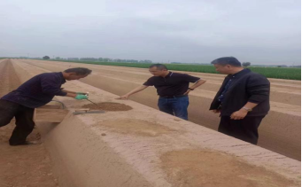 4月15日，公司李總、原料王愛兵、品管王文文奔赴菏澤深入田間地頭考察原料種植采收情況